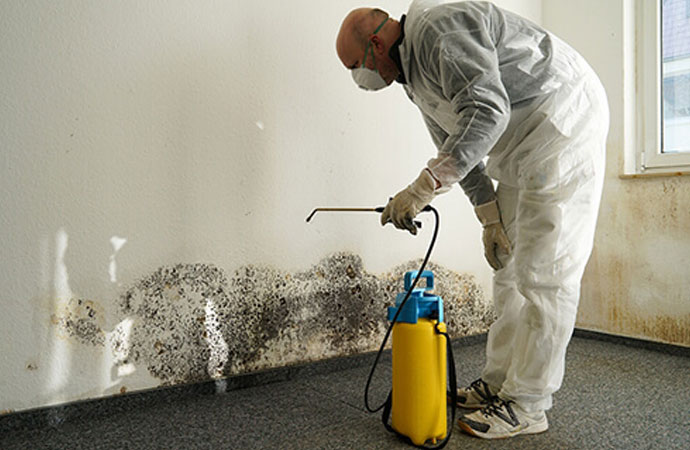 Code-Compliant Mold Removal & Remediation 