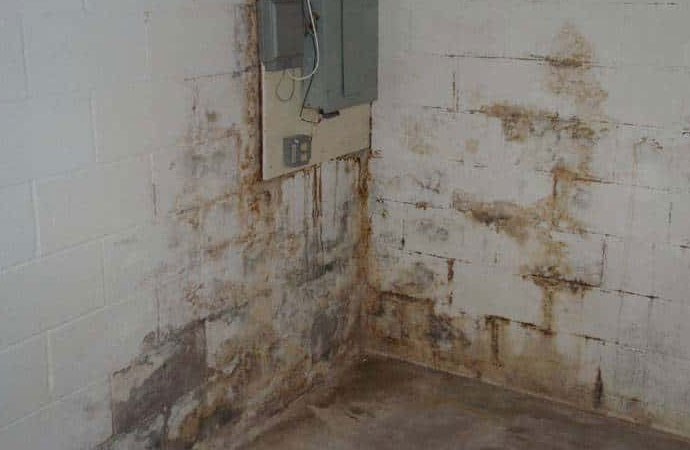 Causes of Basement Mold