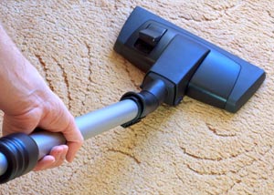 A carpet cleaning professional working in Seymour