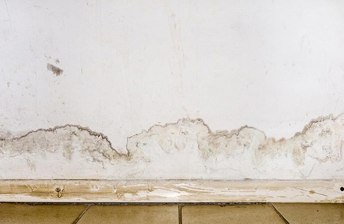 signs of moldy wall